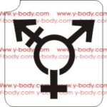 Gay Pride Transexual
